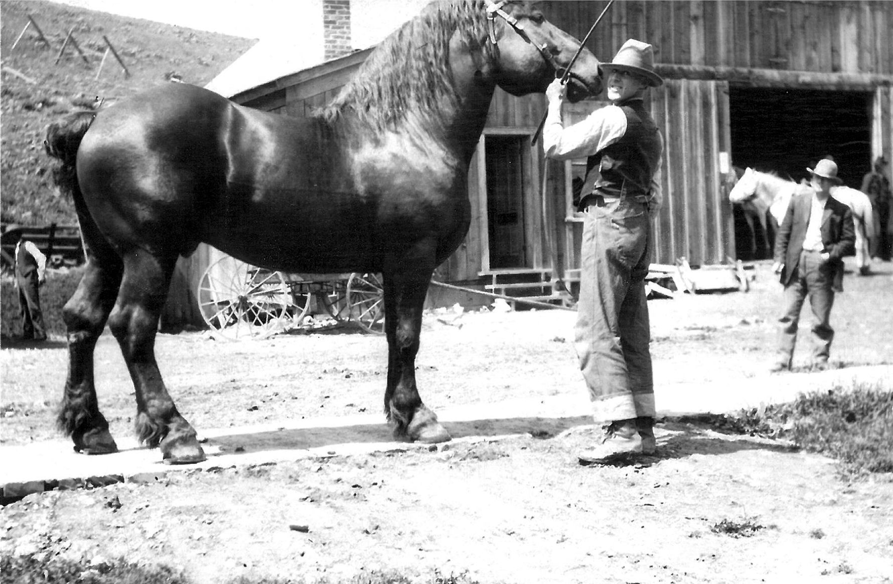 The Way We Were | 1906